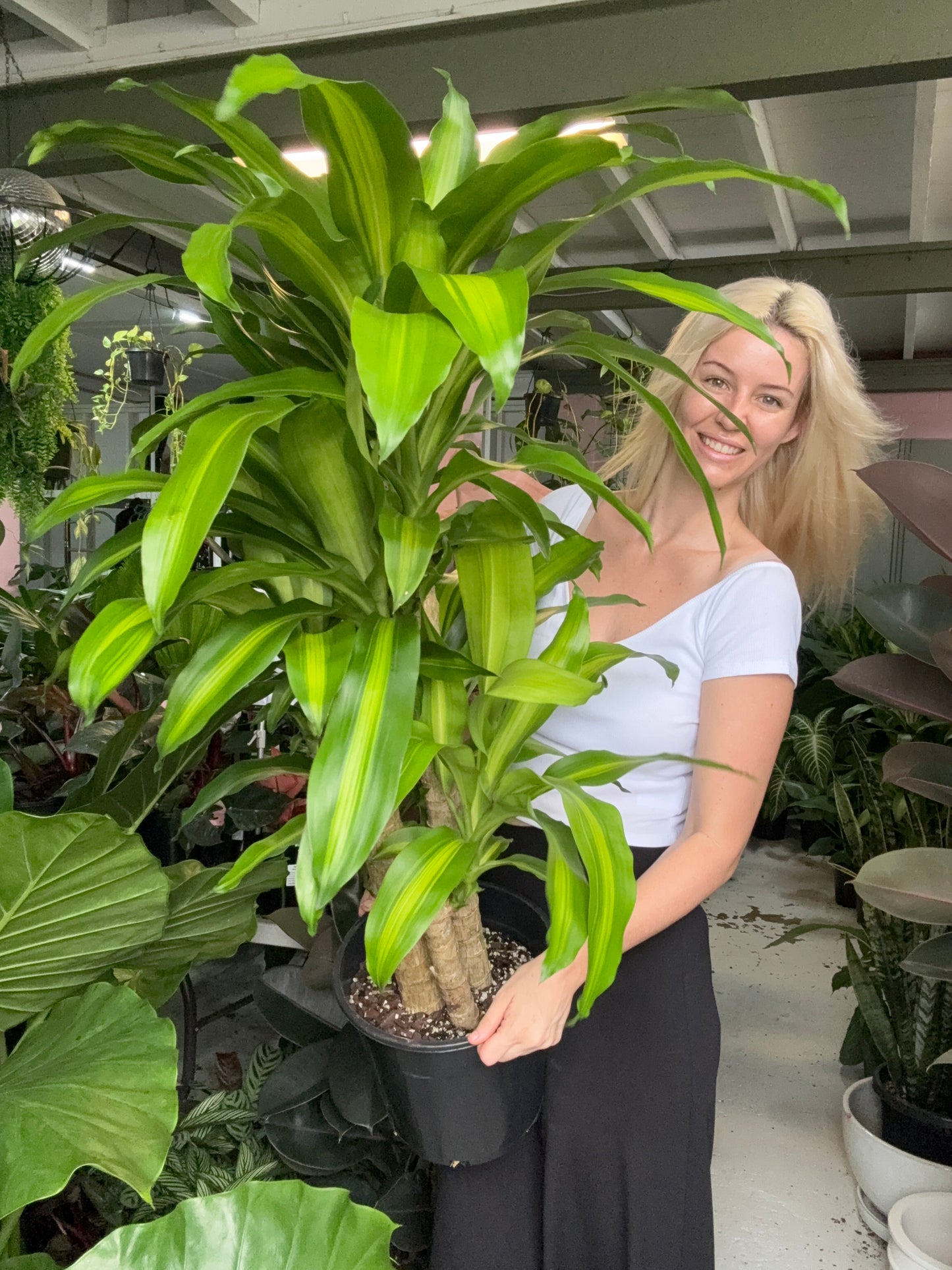 Happy Plant โ Multi-Tiered Stem