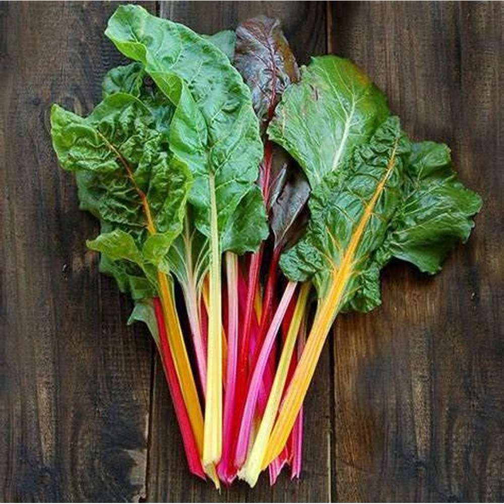 Rainbow Silverbeet