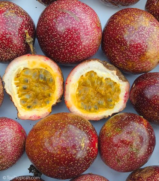 Panama Red Passionfruit