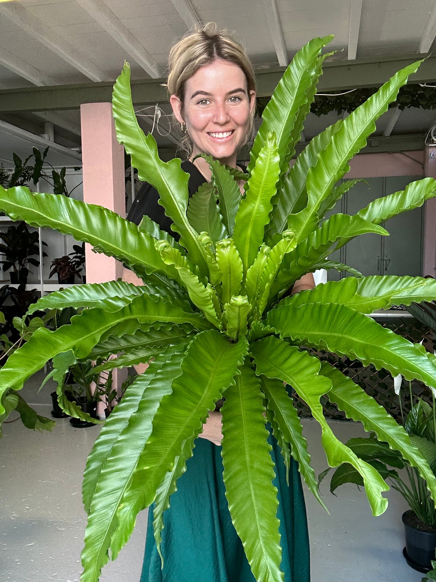 Victoria Fern