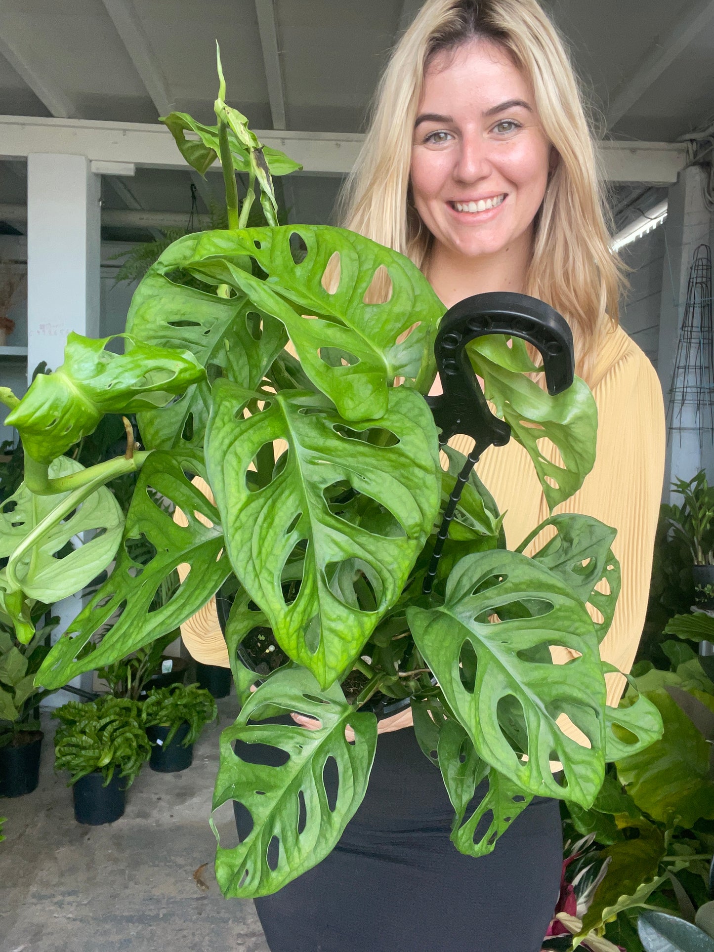 Monstera Monkey Mask