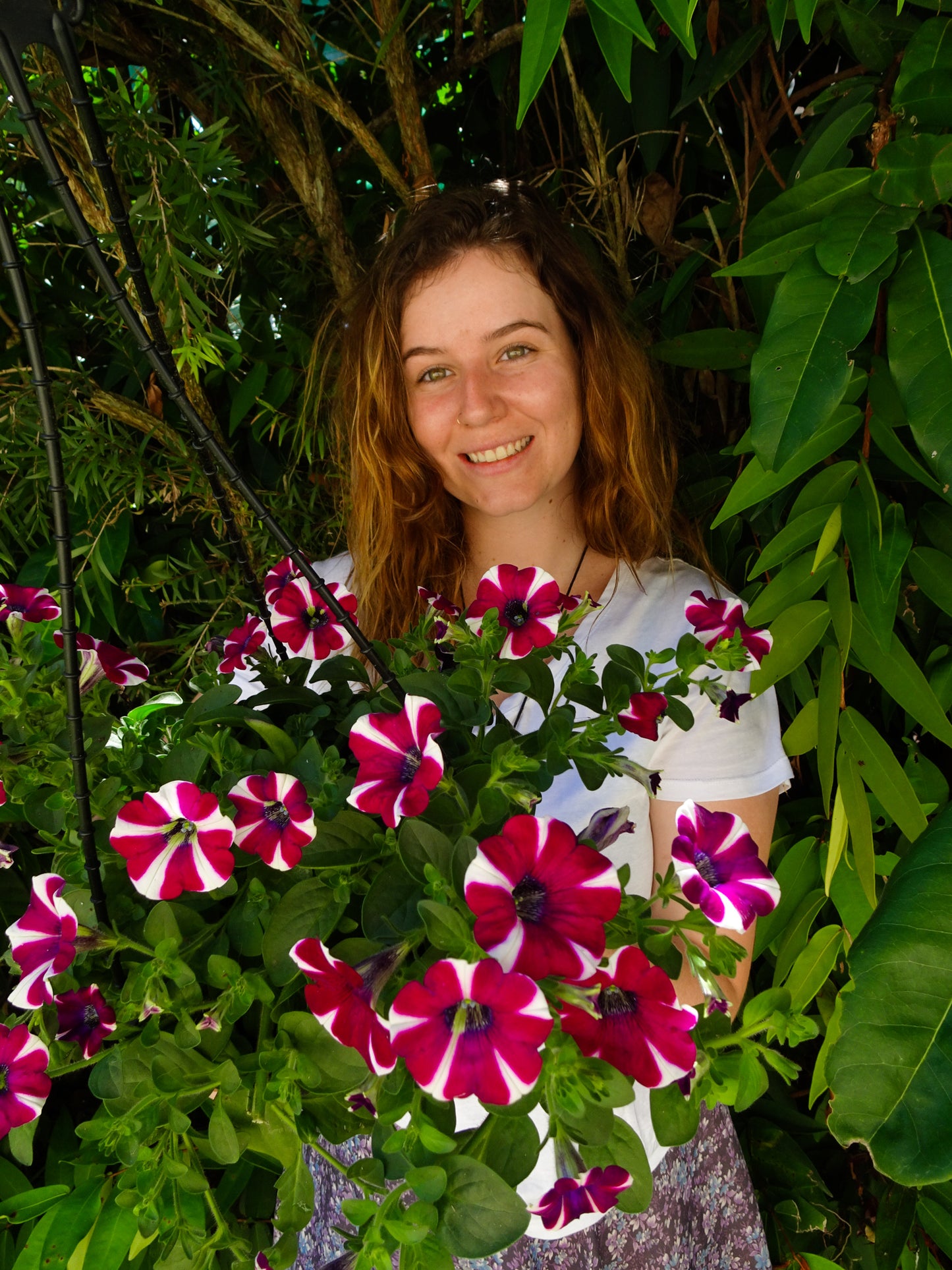 Petunia Hotlips Hanging Baskets