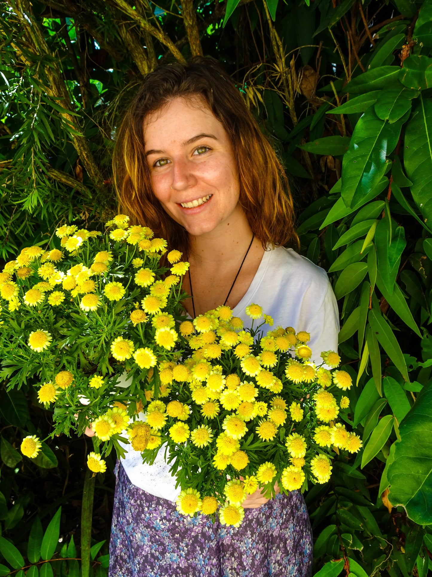Paris Daisy Yellow