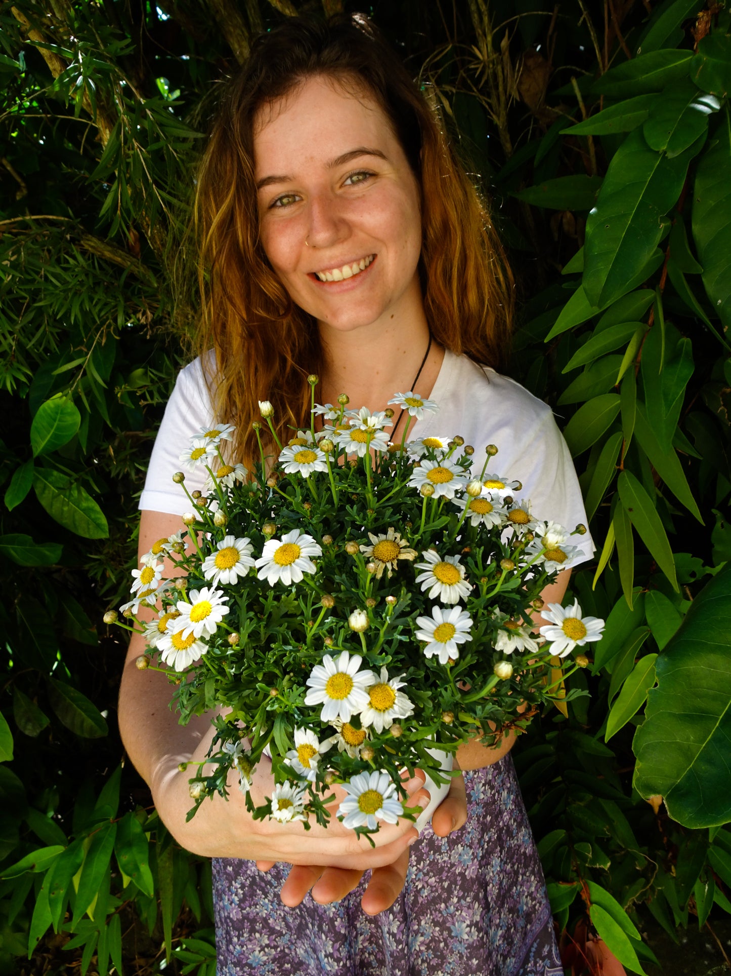 Paris Daisy White