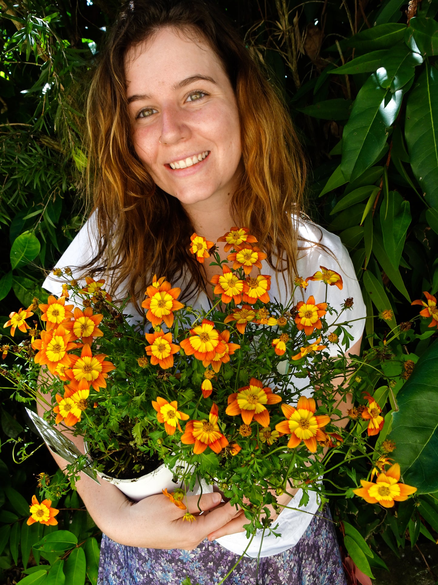 Bidens Bidy Boom