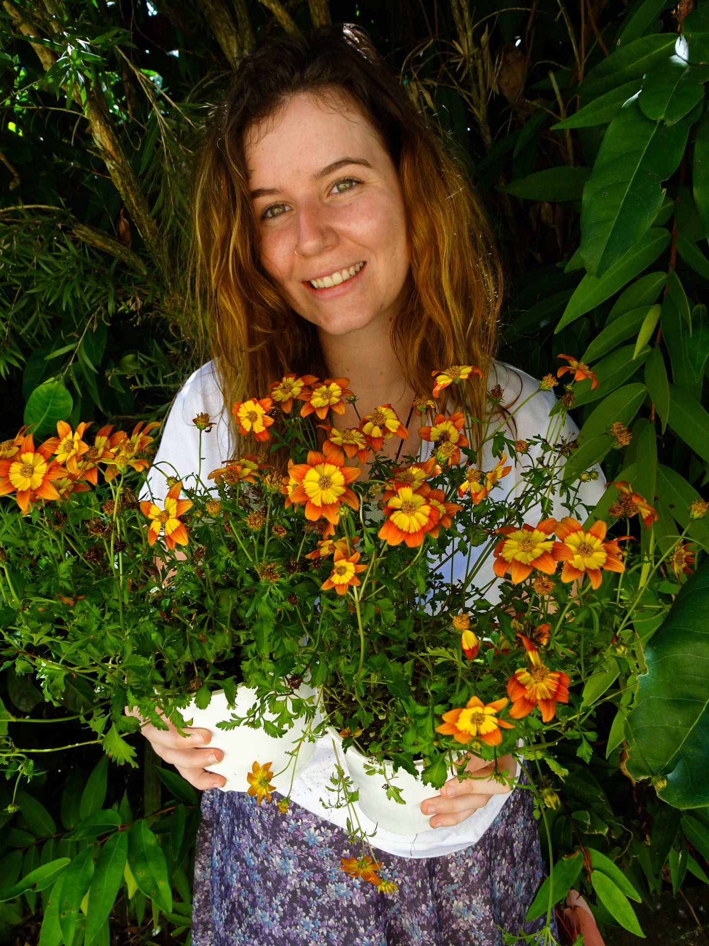 Bidens Bidy Boom