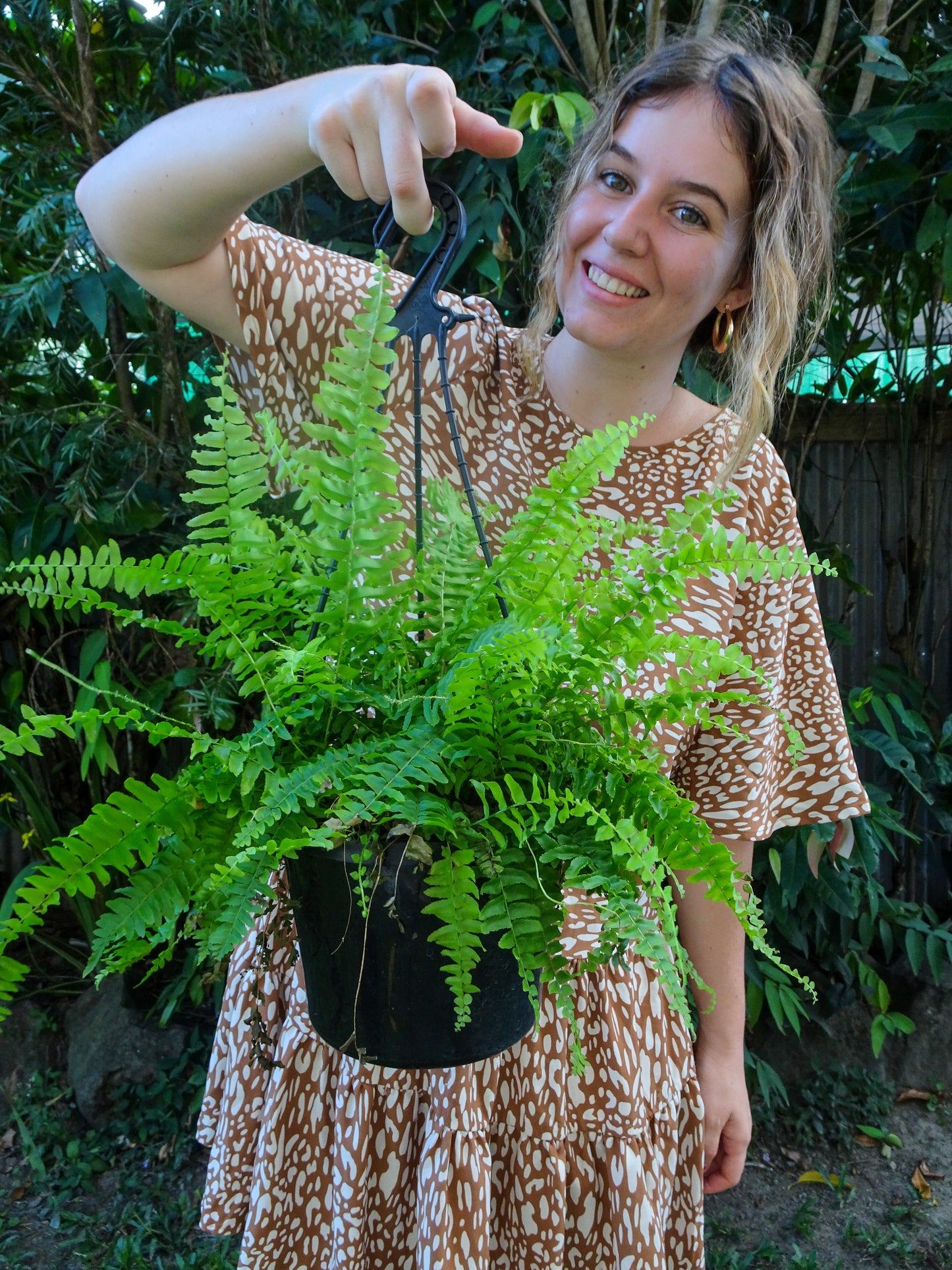 Boston Fern Hanging Basket
