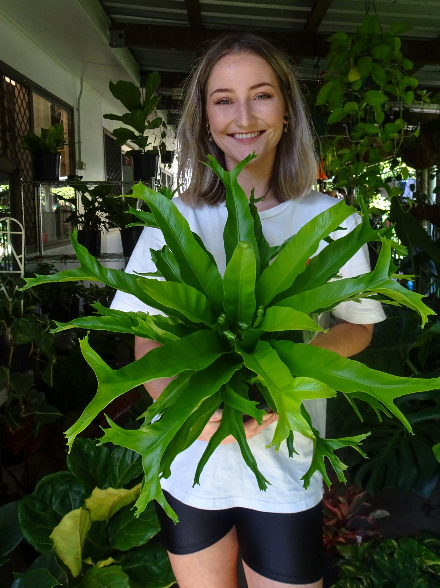 Crissie Fern