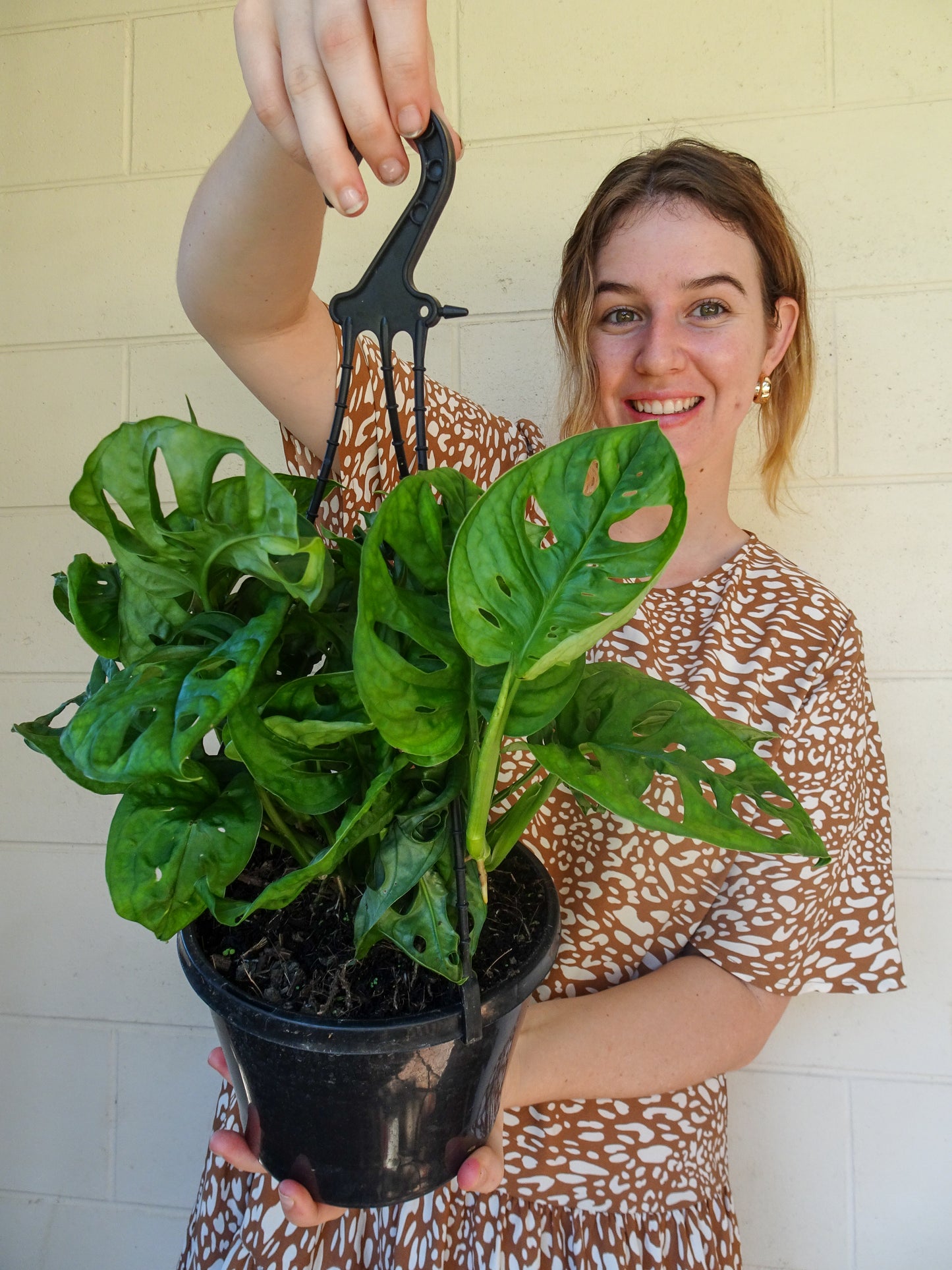 Monstera Monkey Mask Hanging Basket