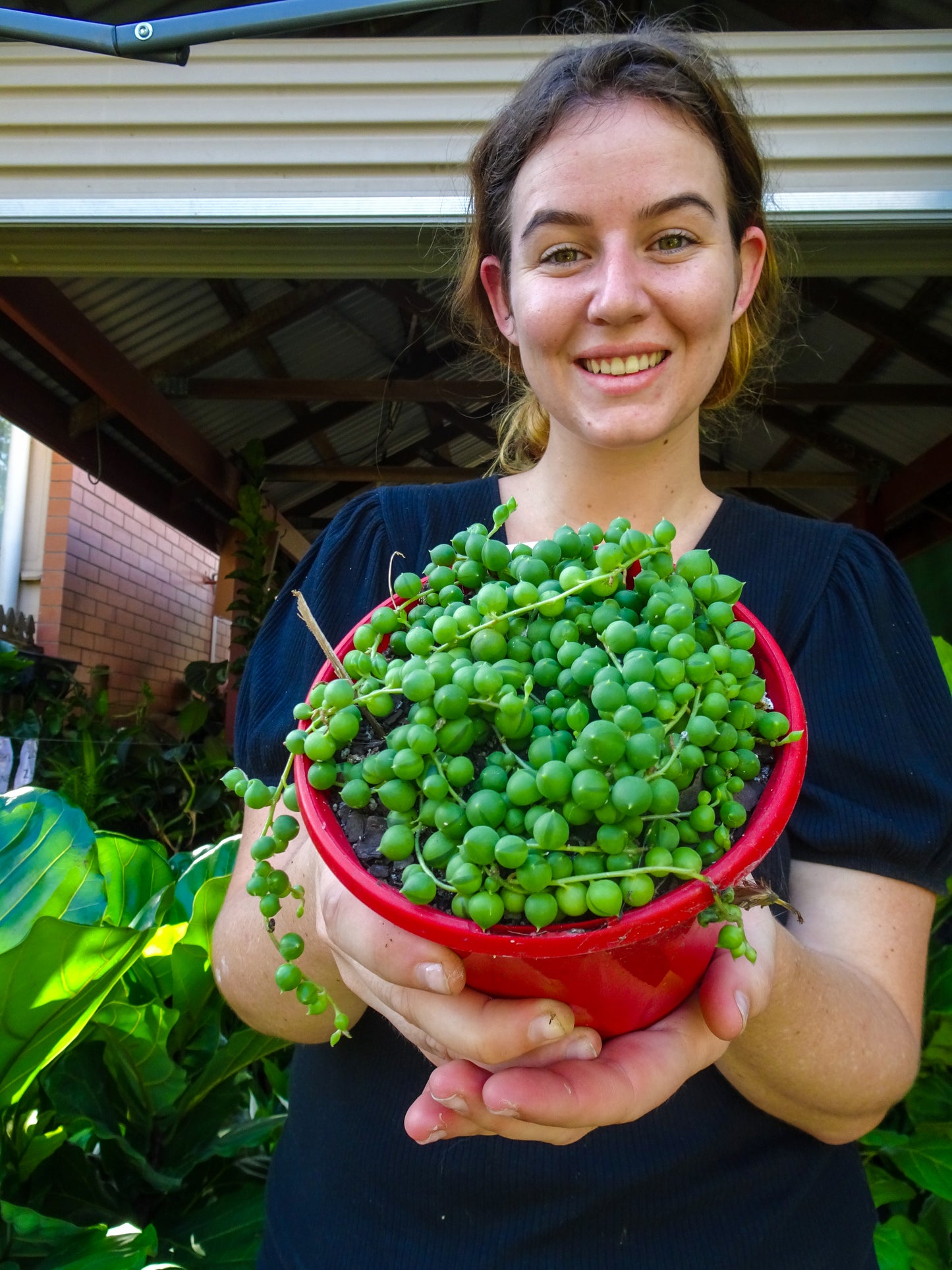 String of Pearls