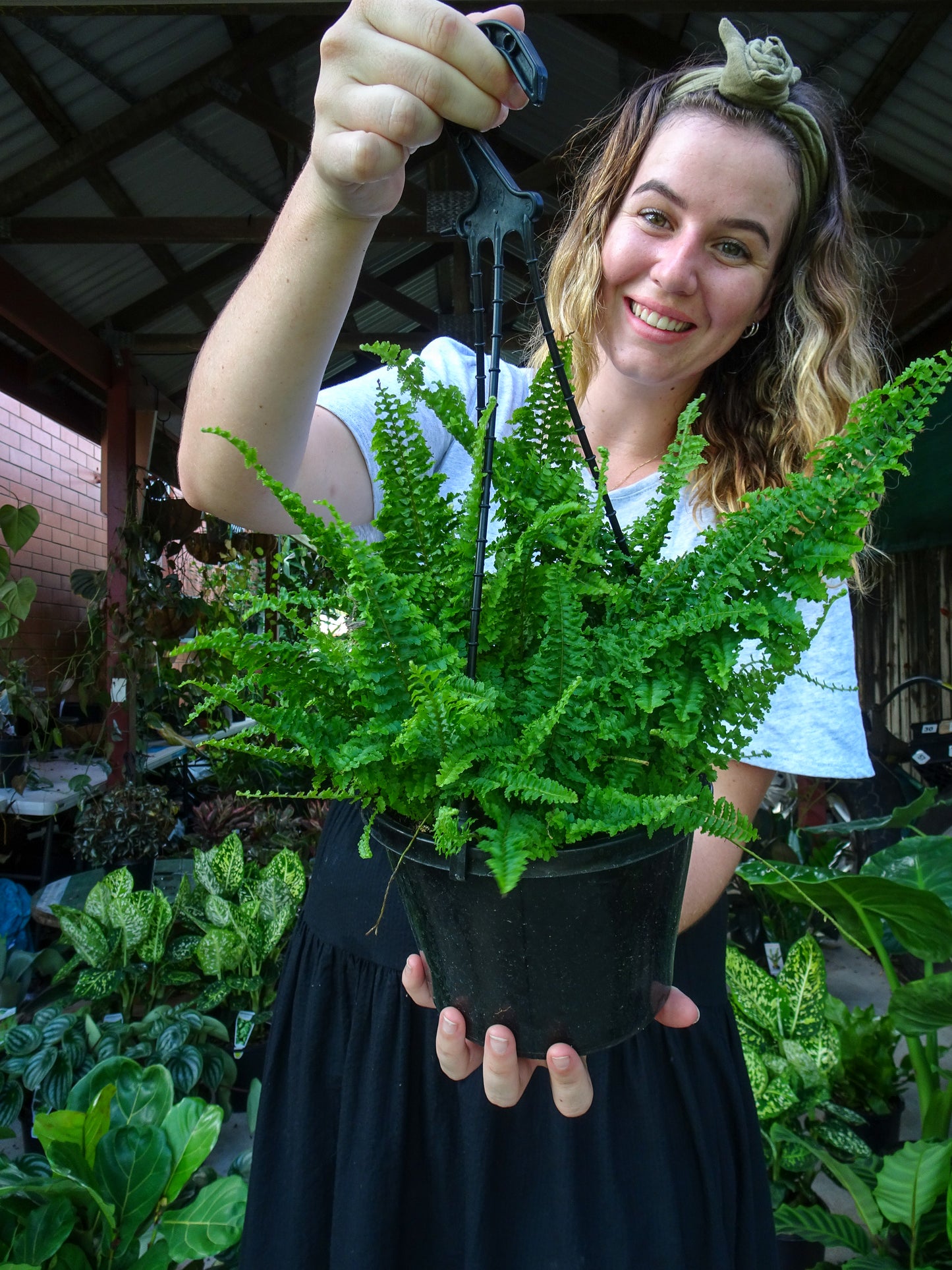 Fluffy Ruffles Fern