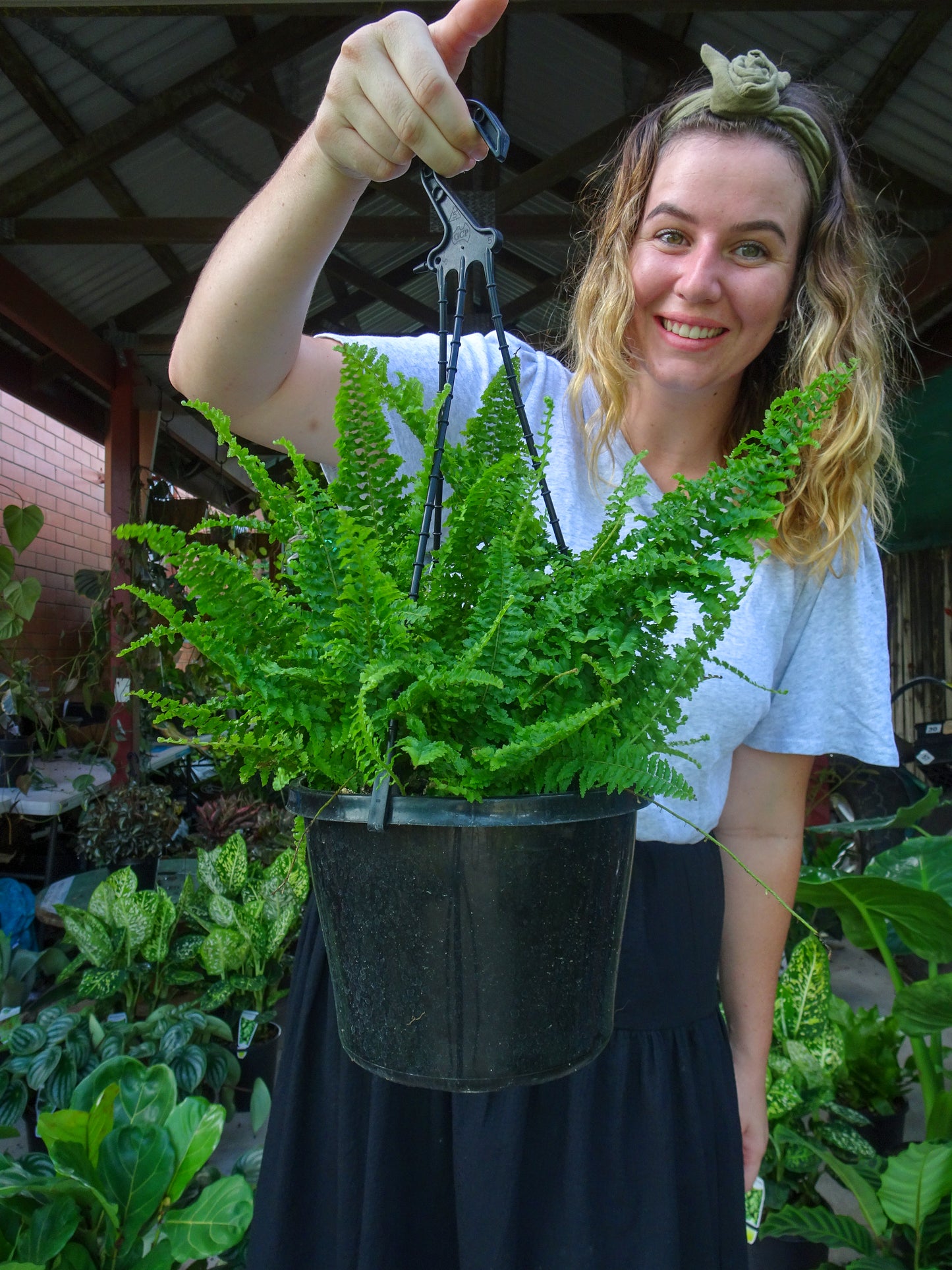 Fluffy Ruffles Fern