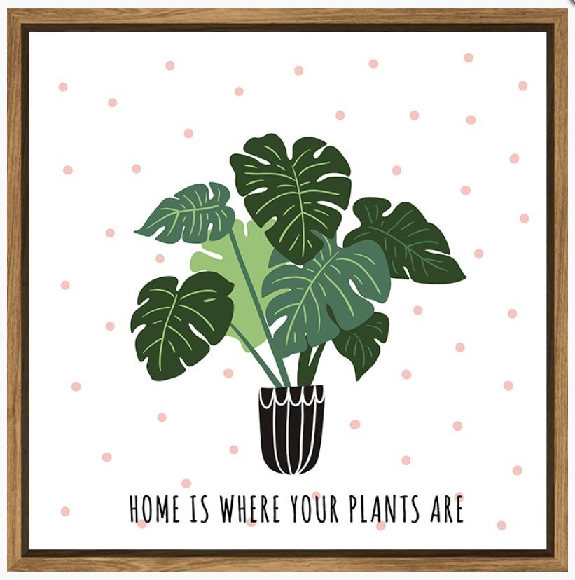 Home Is Where Your Plants Are