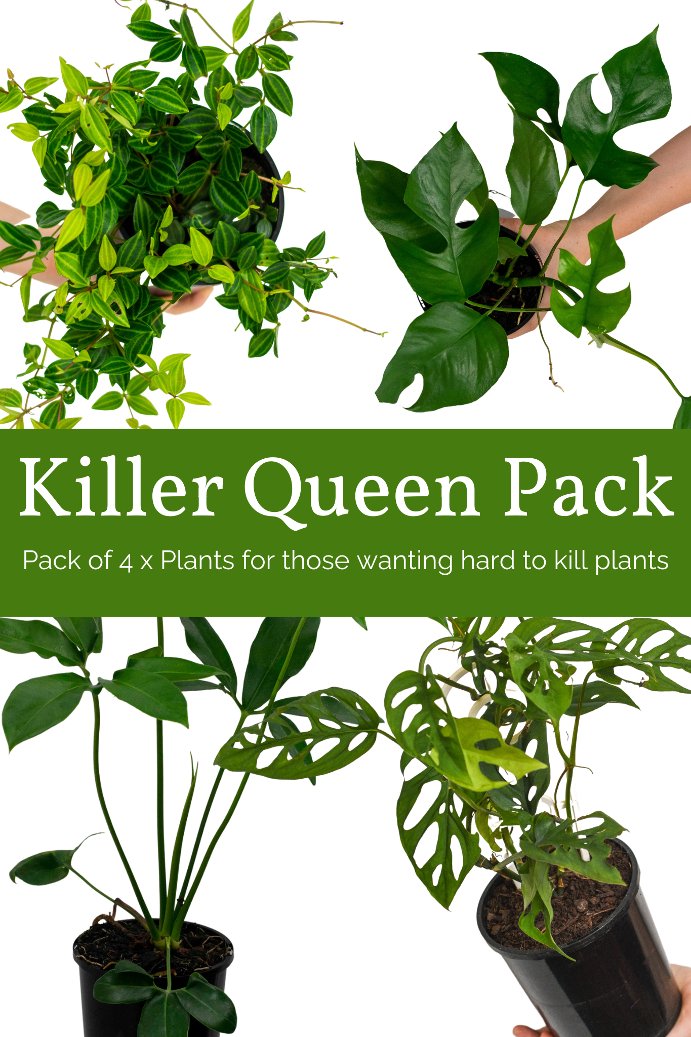 Killer Queen Pack