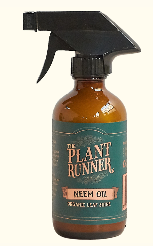 The Plant Runner Neem Oil Leaf Shine