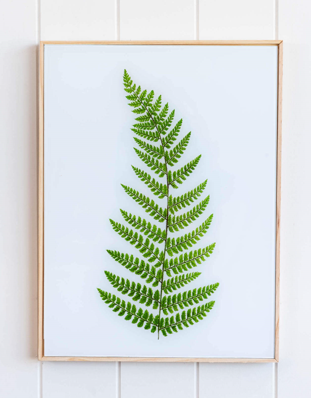 Lush Fern Art
