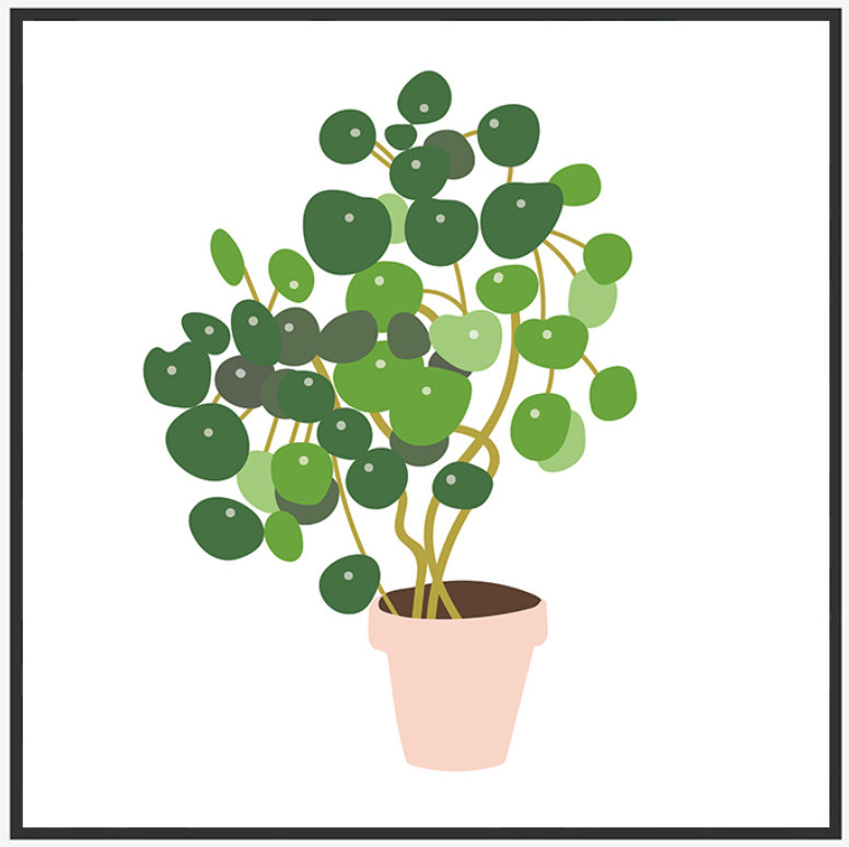 Pastel Pilea Pot