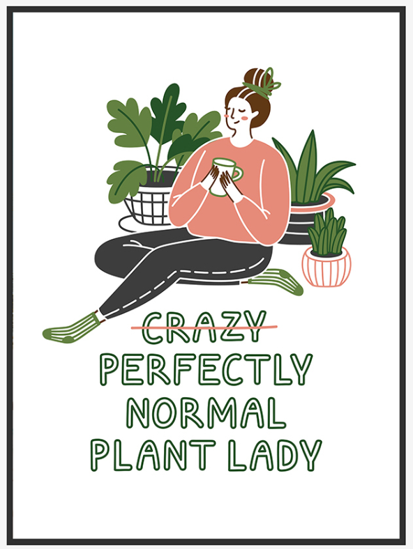 Perfectly Normal Plant Lady