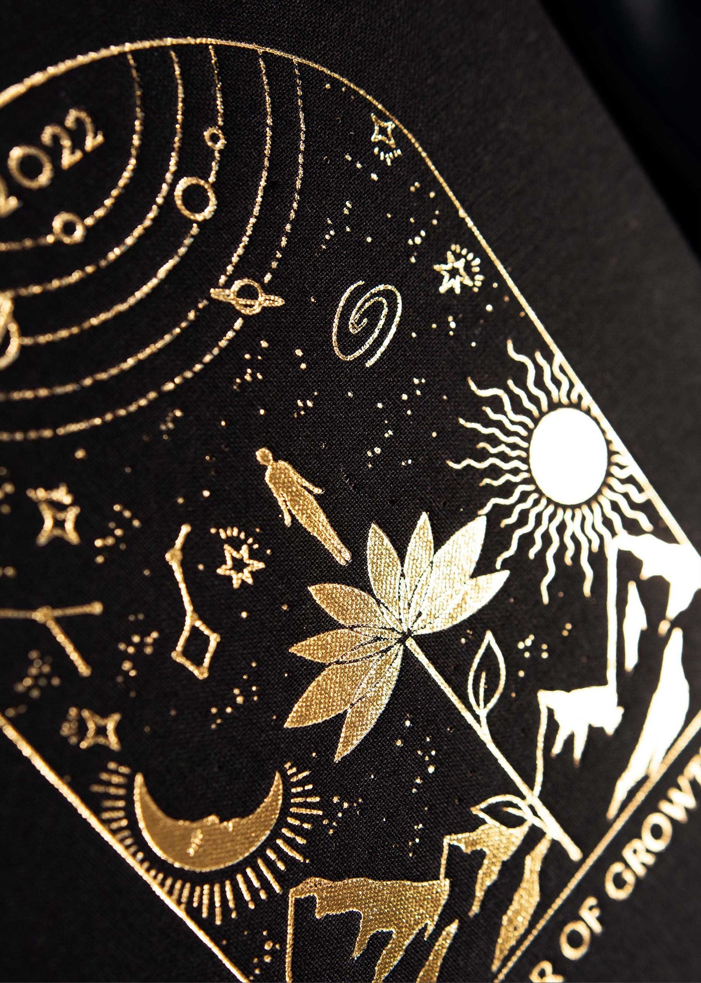 Dreamy Moons 2022 Year of Growth