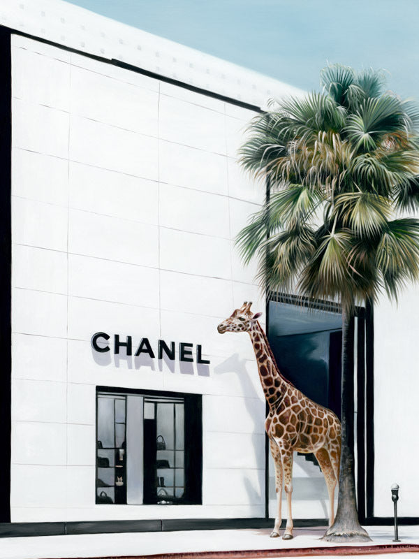 Rodeo Drive Stretched Canvas