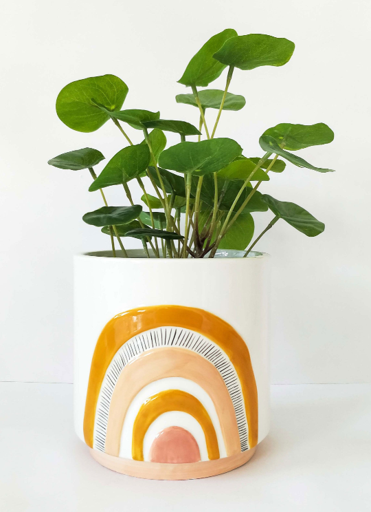 Mustard Rainbow Planter Small