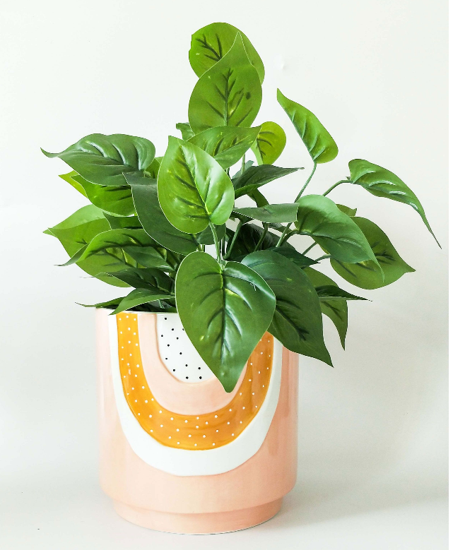 Peachy Rainbow Pot