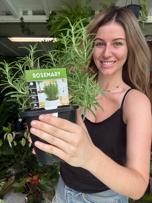 Rosemary