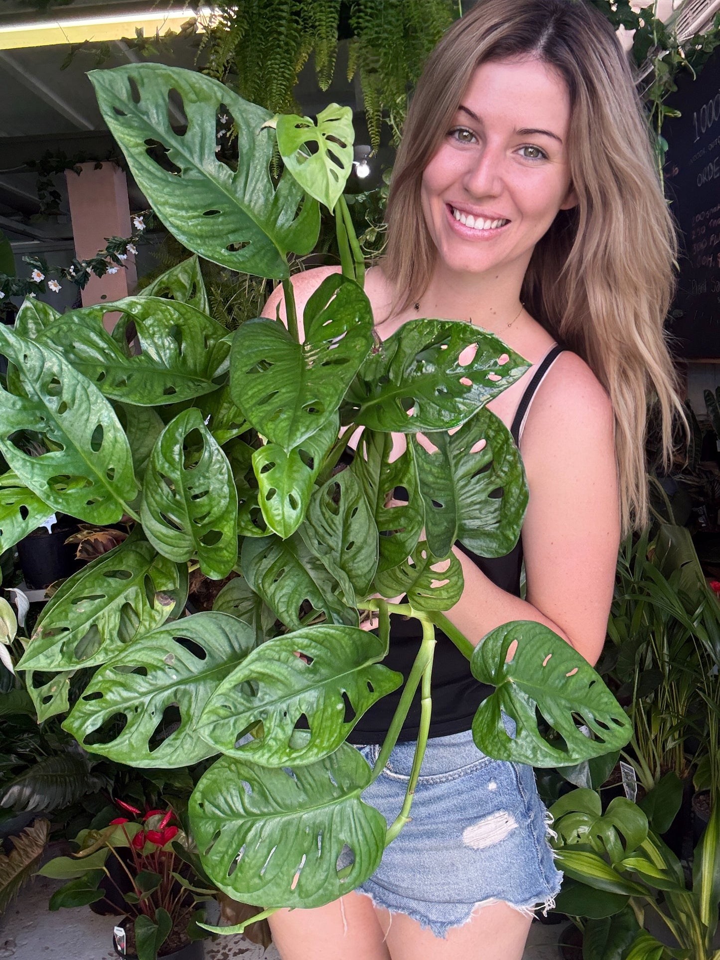 Monstera Monkey Mask