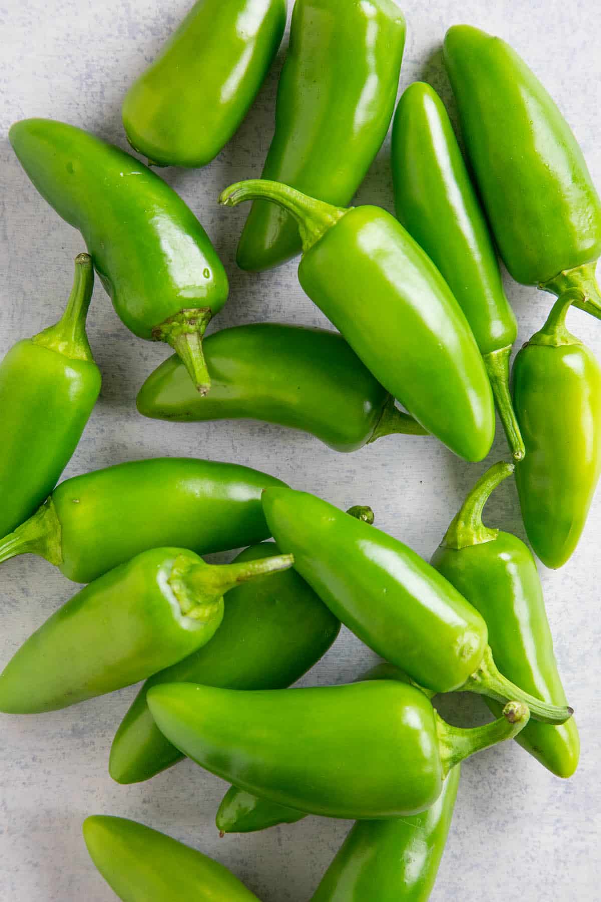 Jalapeno Chilli
