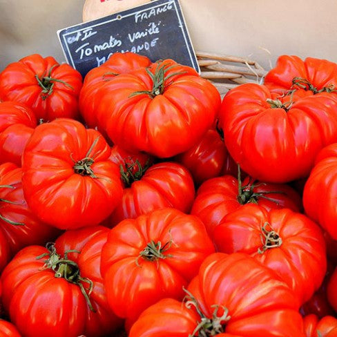 Beefsteak Tomato