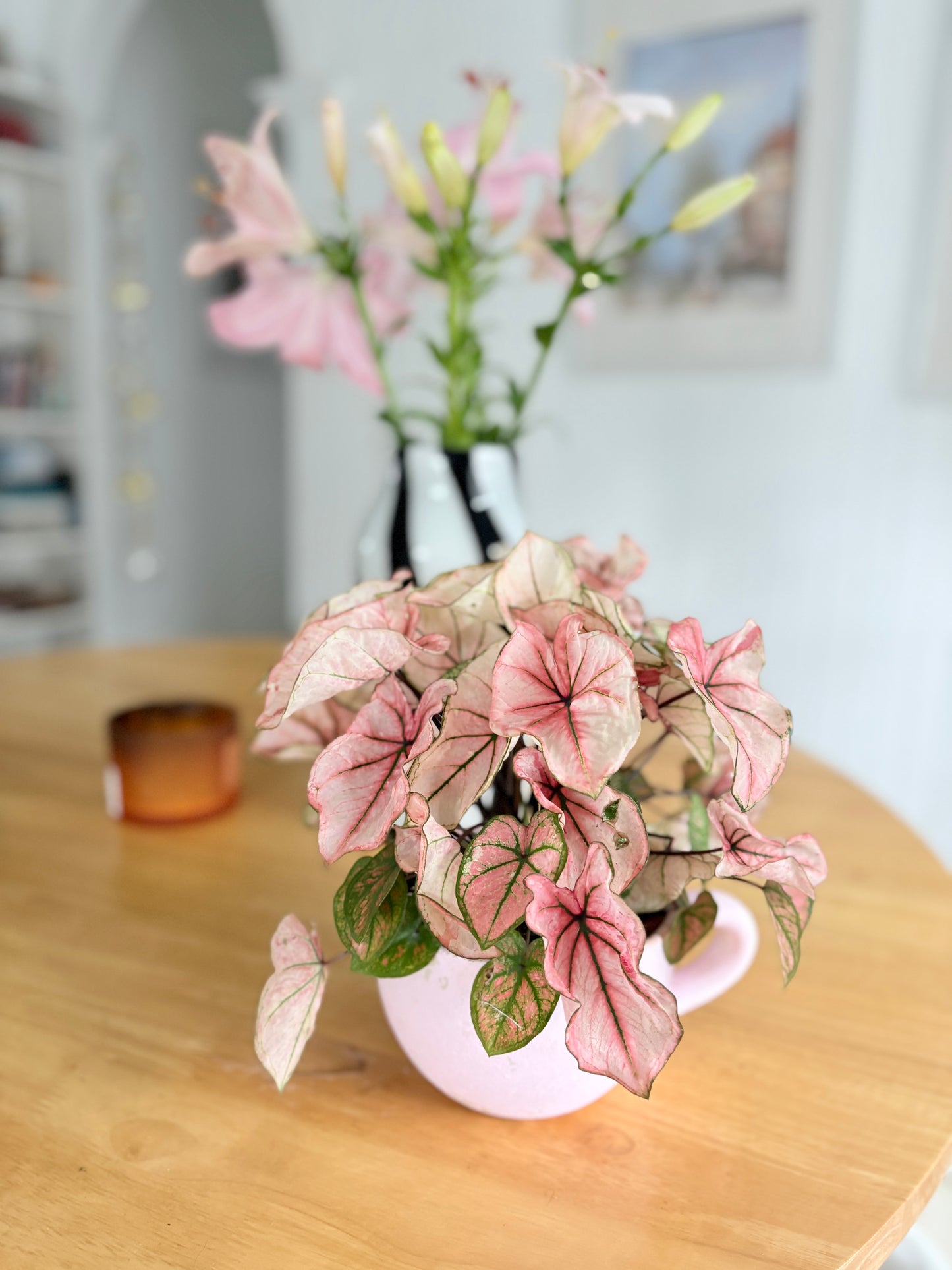 Bridgerton Tea Cup Planter & Caladium Custom