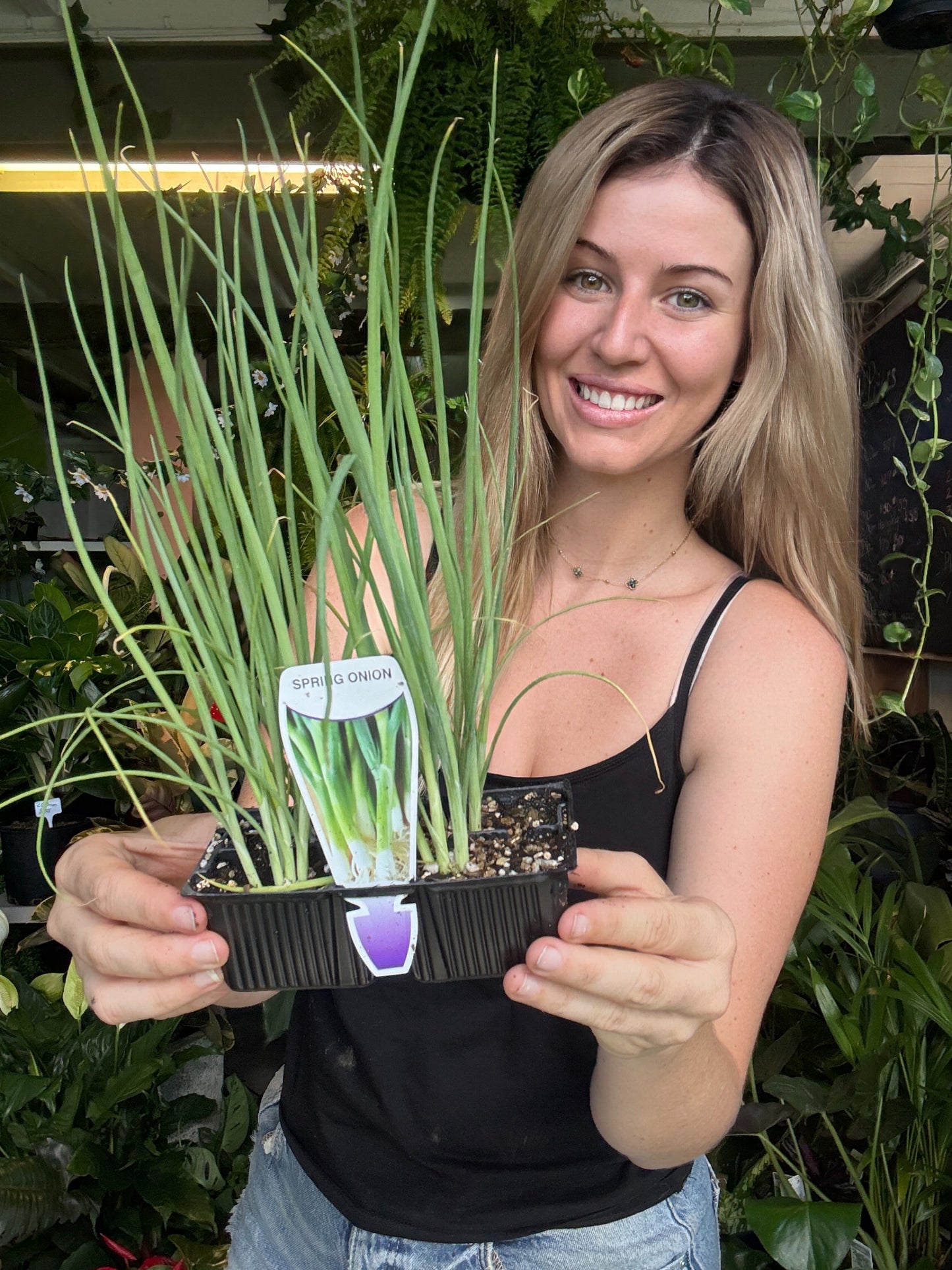 Spring Onion – Metric Punnet