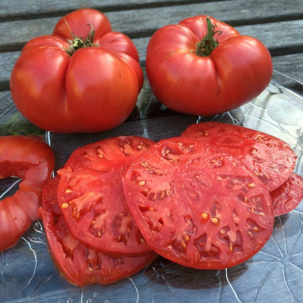 Beefsteak Tomato
