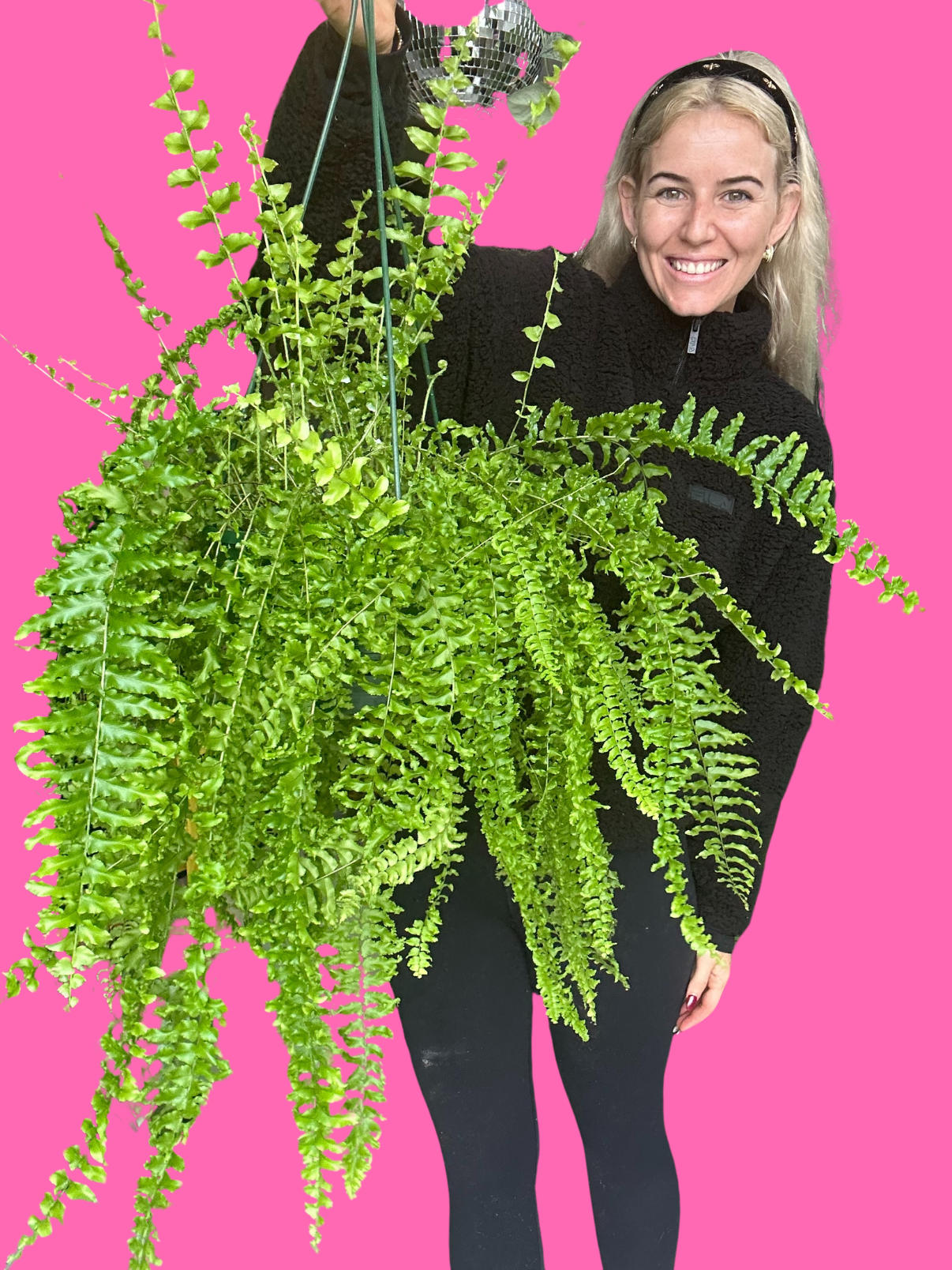 Boston Fern