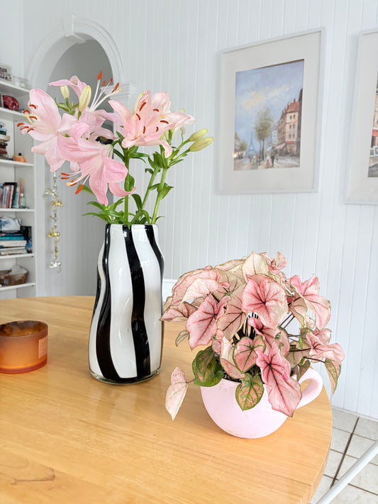 Bridgerton Tea Cup Planter & Caladium Custom