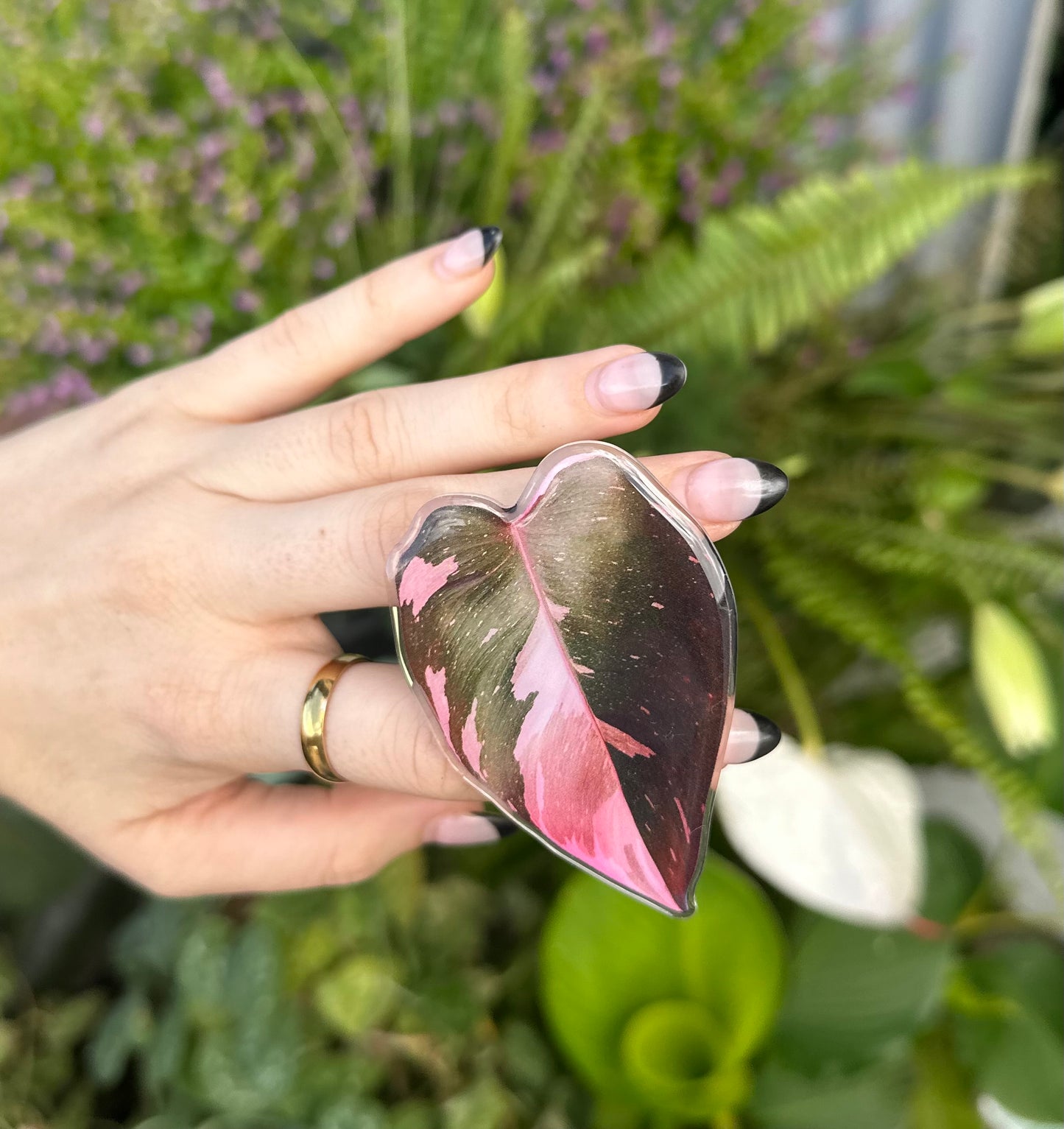 Philodendron Pink Princess Pop Socket