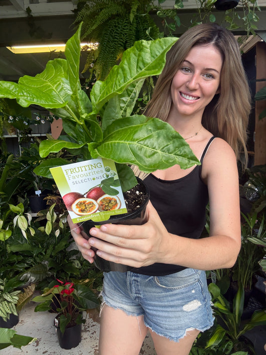 Panama Red Passionfruit