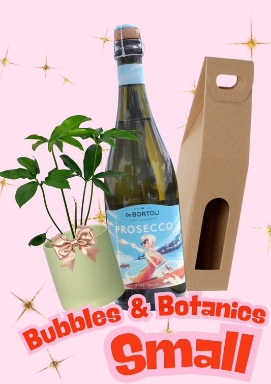 Bubbles &amp; Botanics – Small 🍾🌿