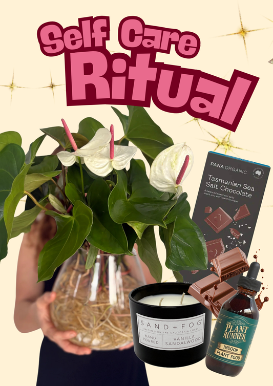 The Self Care Ritual