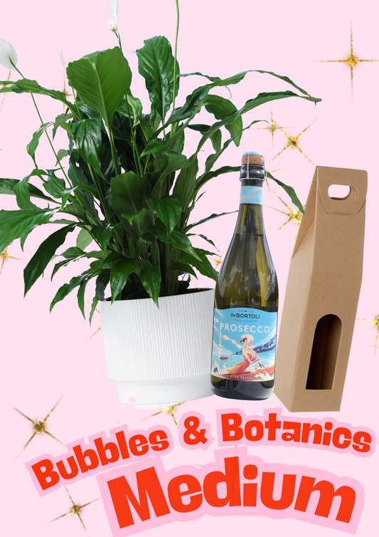 Bubbles & Botanics - Medium