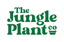 The Jungle Plant Co
