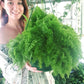 Cotton Candy Hanging Fern