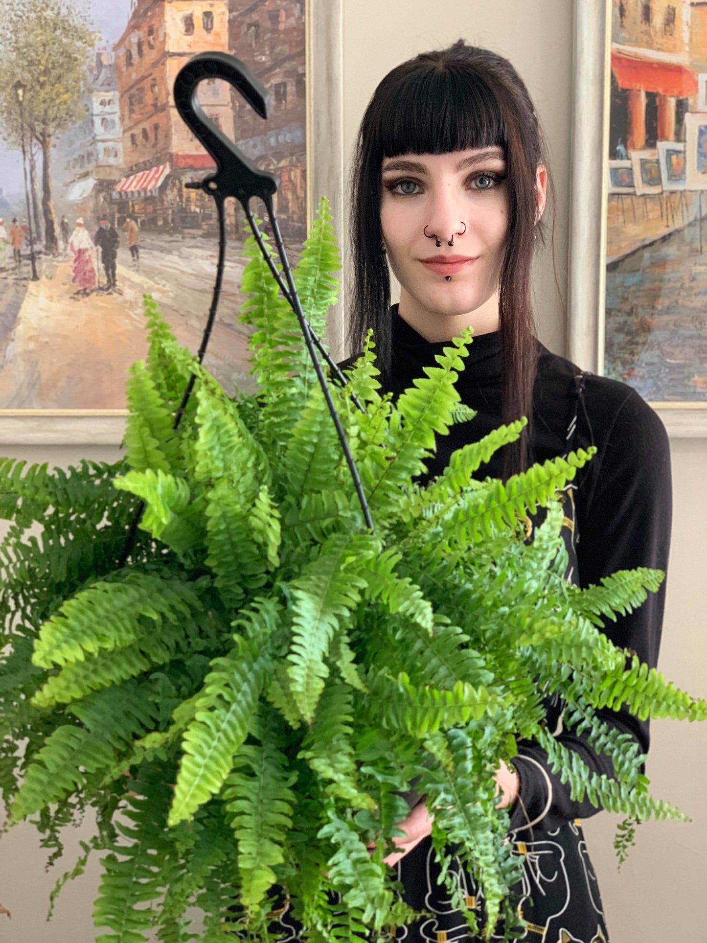 Boston Fern Hanger