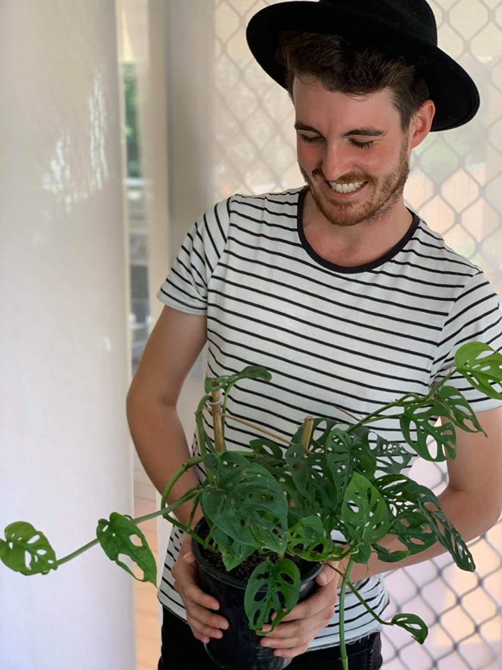 Monstera Adansonii 140mm