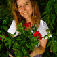 Verbena BePop- Red
