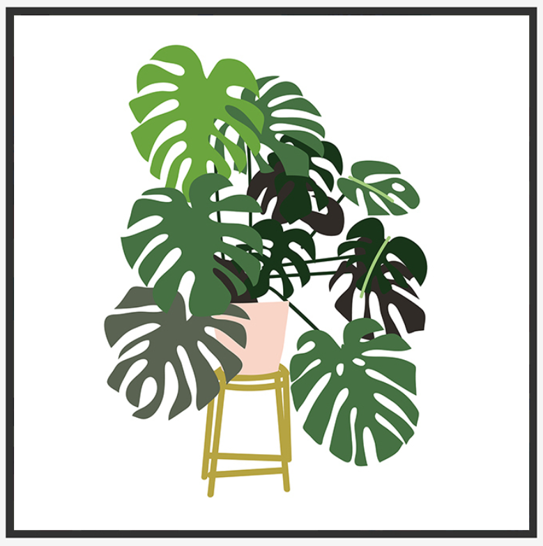 Pastel Potted Monstera