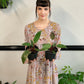 Philodendron Pink Princess