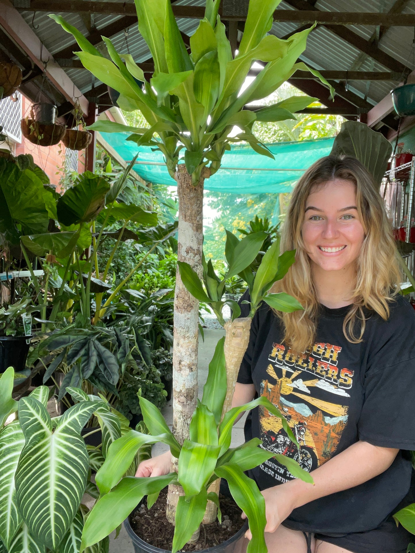 Giant Happy Plants